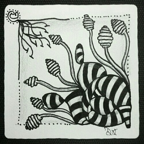 IMG_20131120_055440.jpg image